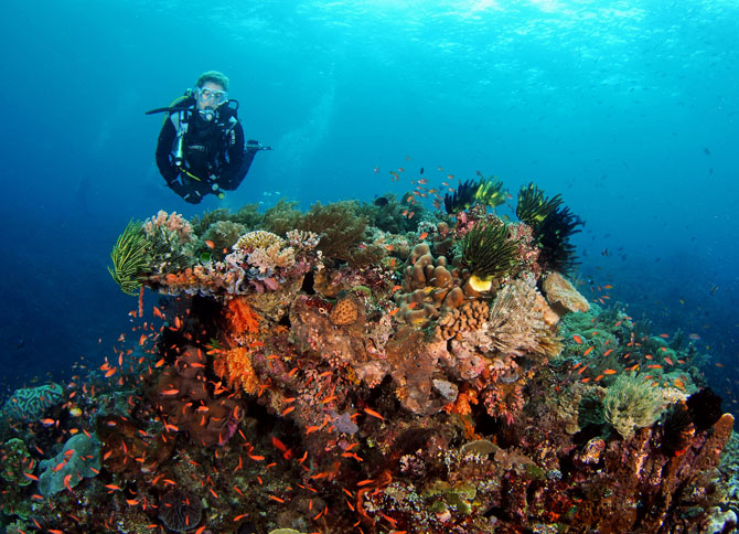 Bunaken National Park