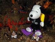 Snoopy1